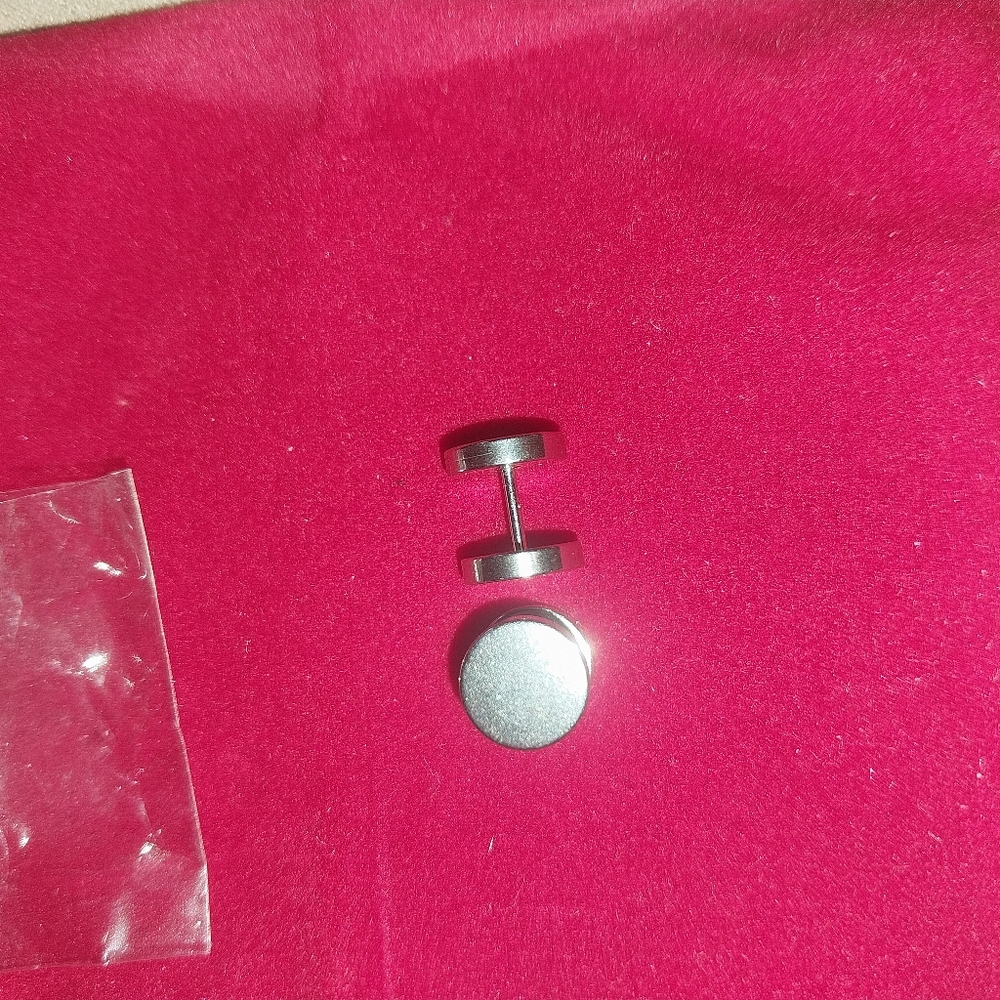 Faux Silver Plug  Earrings